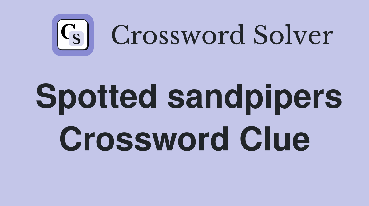 Spotted sandpipers Crossword Clue