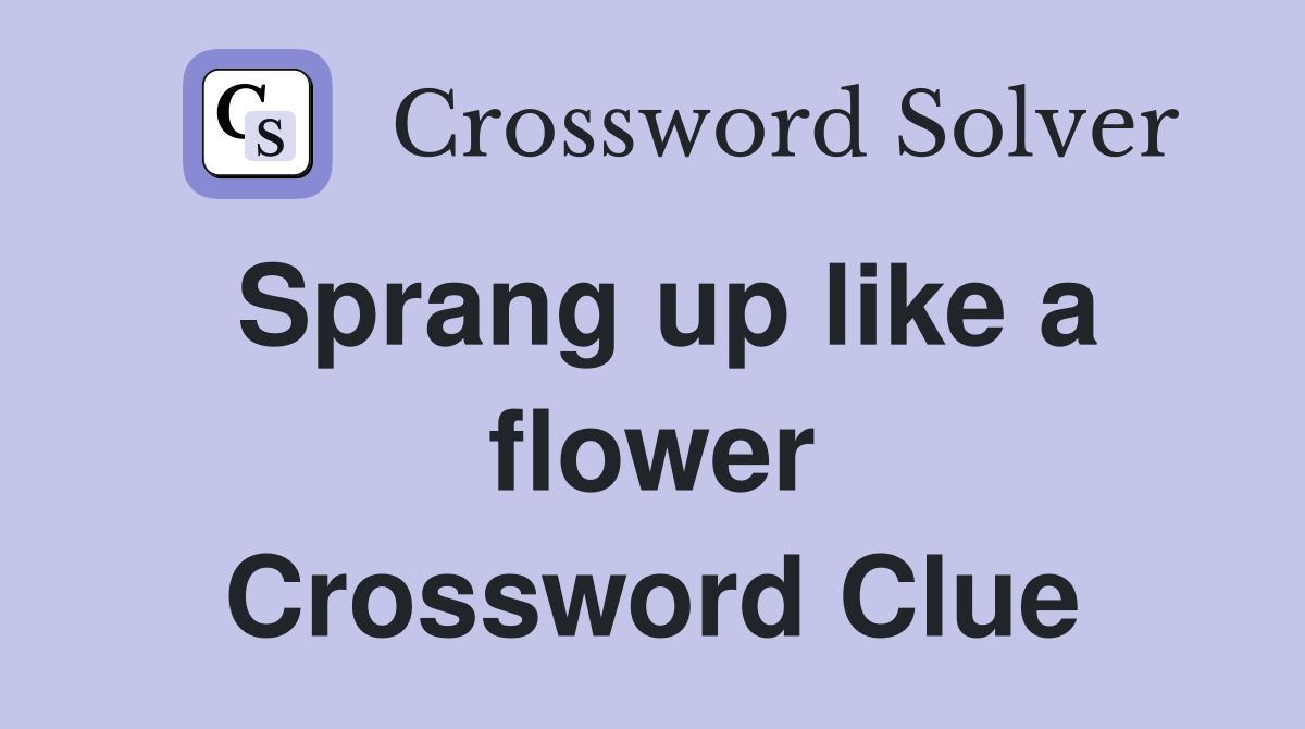Sprang up like a flower Crossword Clue