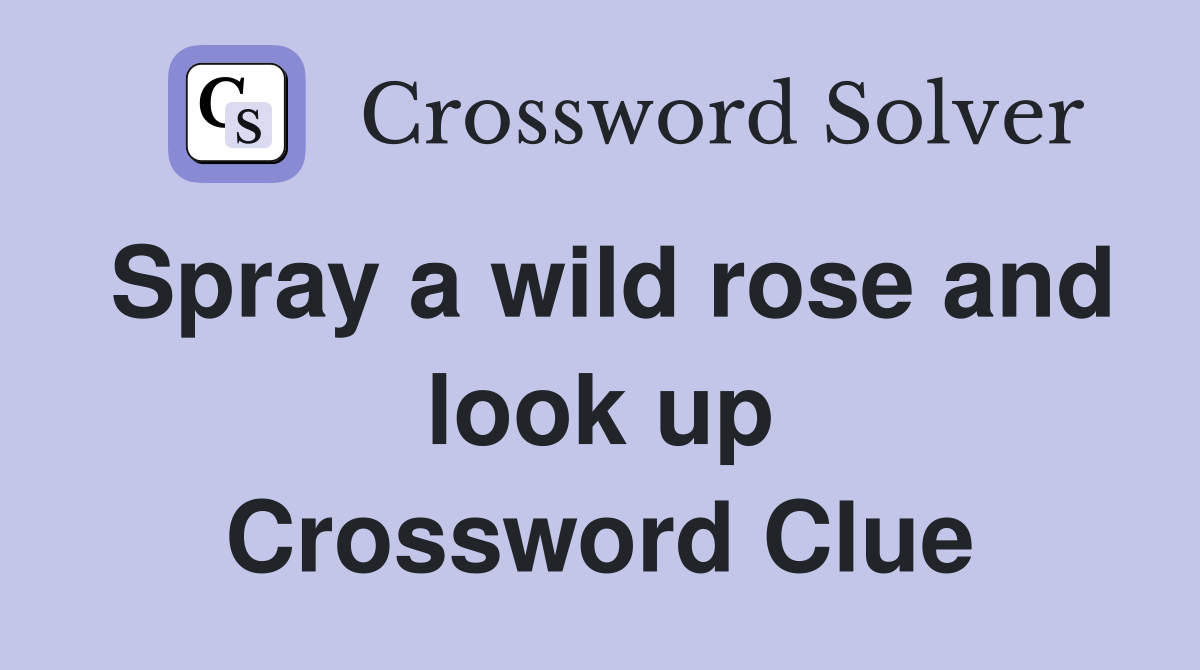 Spray a wild rose and look up Crossword Clue