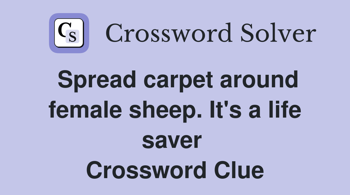 Spread carpet around female sheep. It's a life saver  Crossword Clue