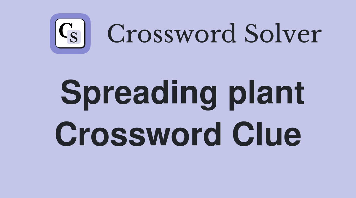 Spreading plant Crossword Clue