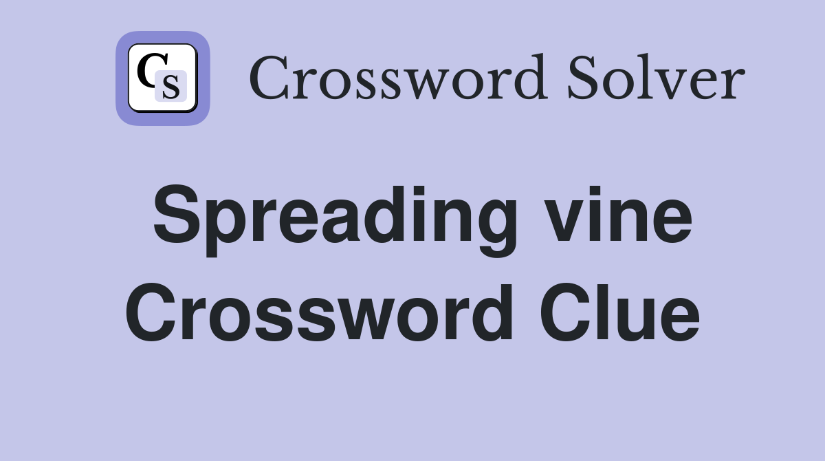 Spreading vine Crossword Clue