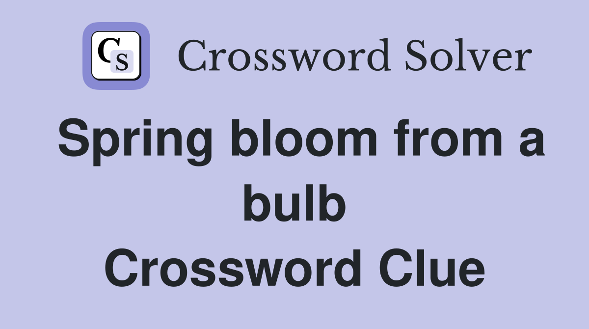Spring bloom from a bulb Crossword Clue