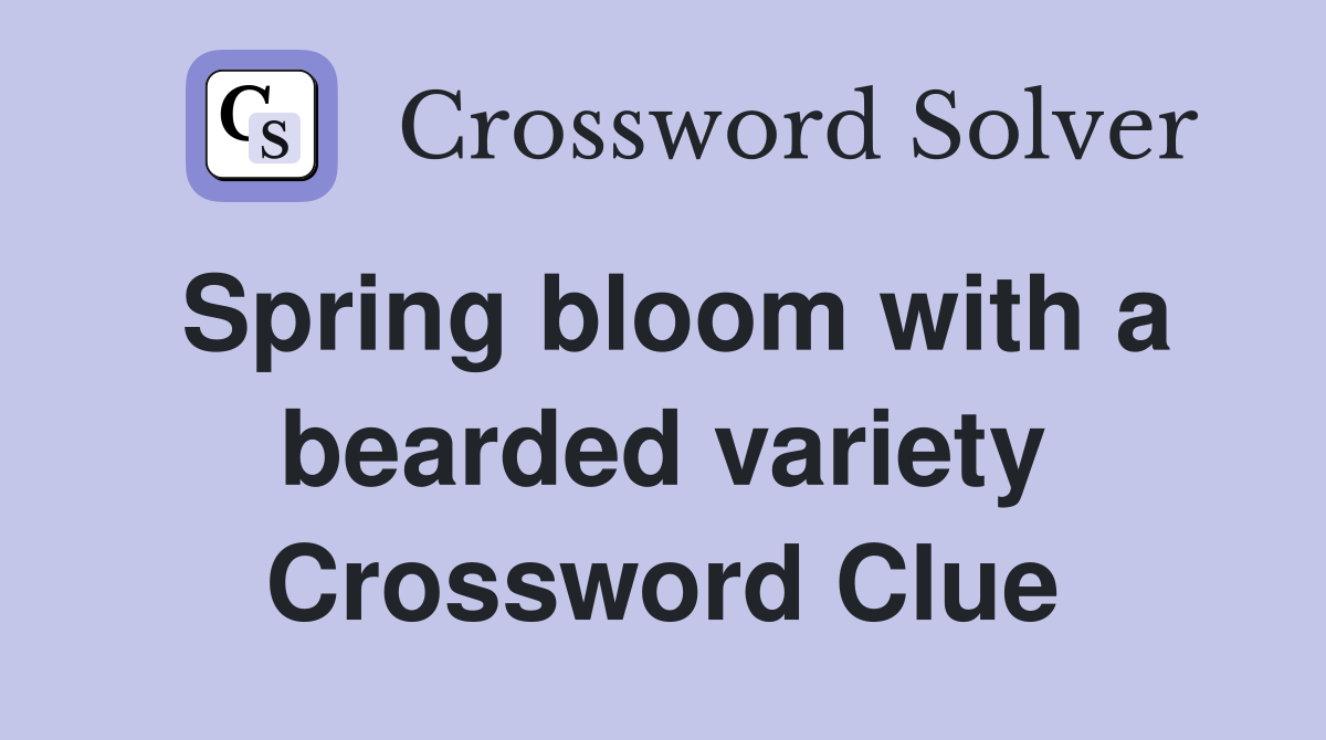Spring bloom with a bearded variety Crossword Clue