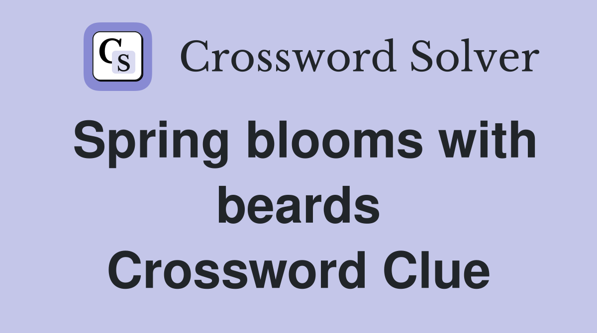 Spring blooms with beards Crossword Clue