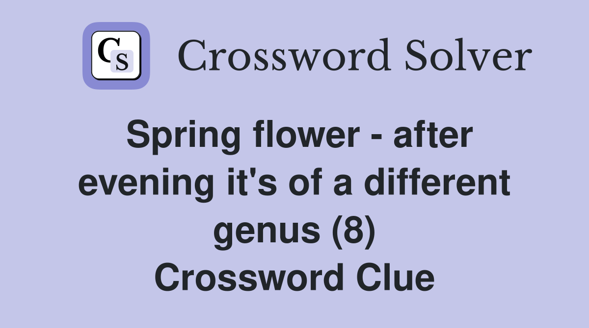 Spring flower - after evening it's of a different genus (8) Crossword Clue