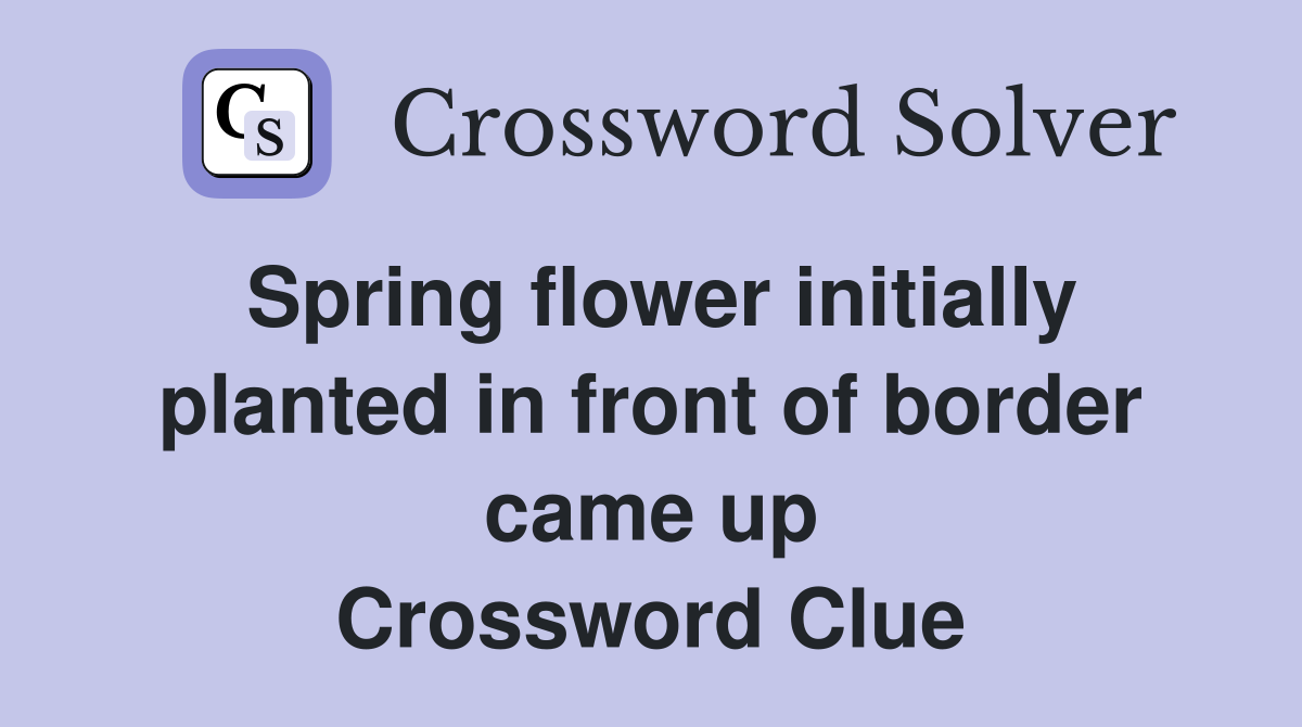 Spring flower initially planted in front of border came up Crossword Clue