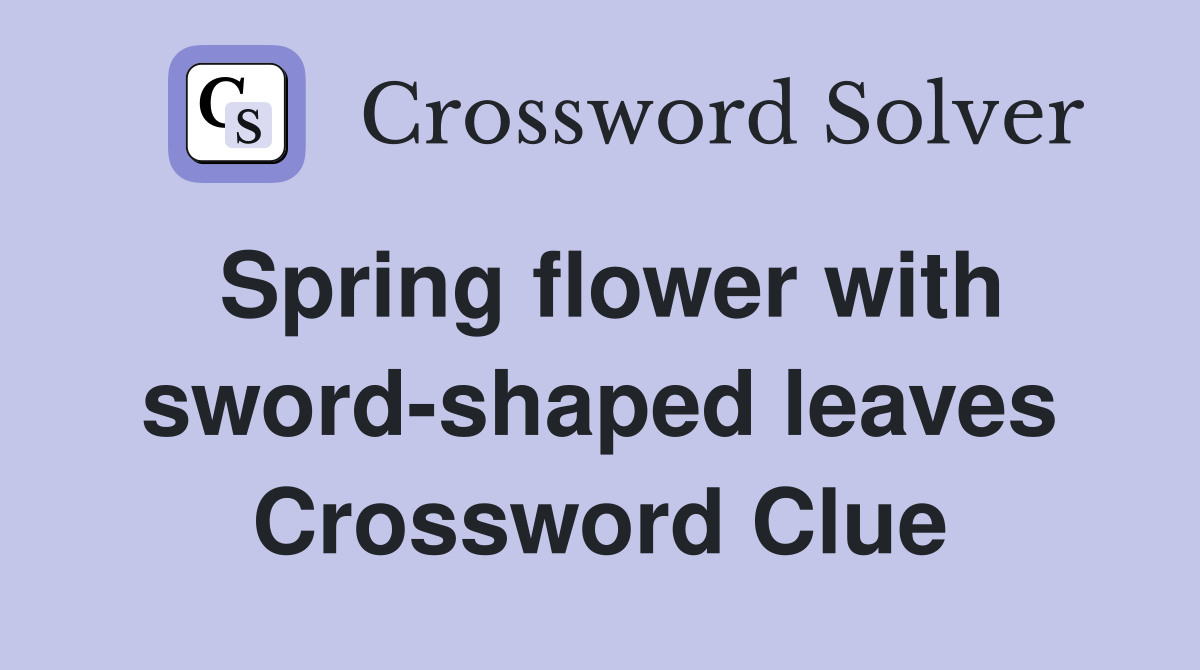 Spring flower with sword-shaped leaves Crossword Clue