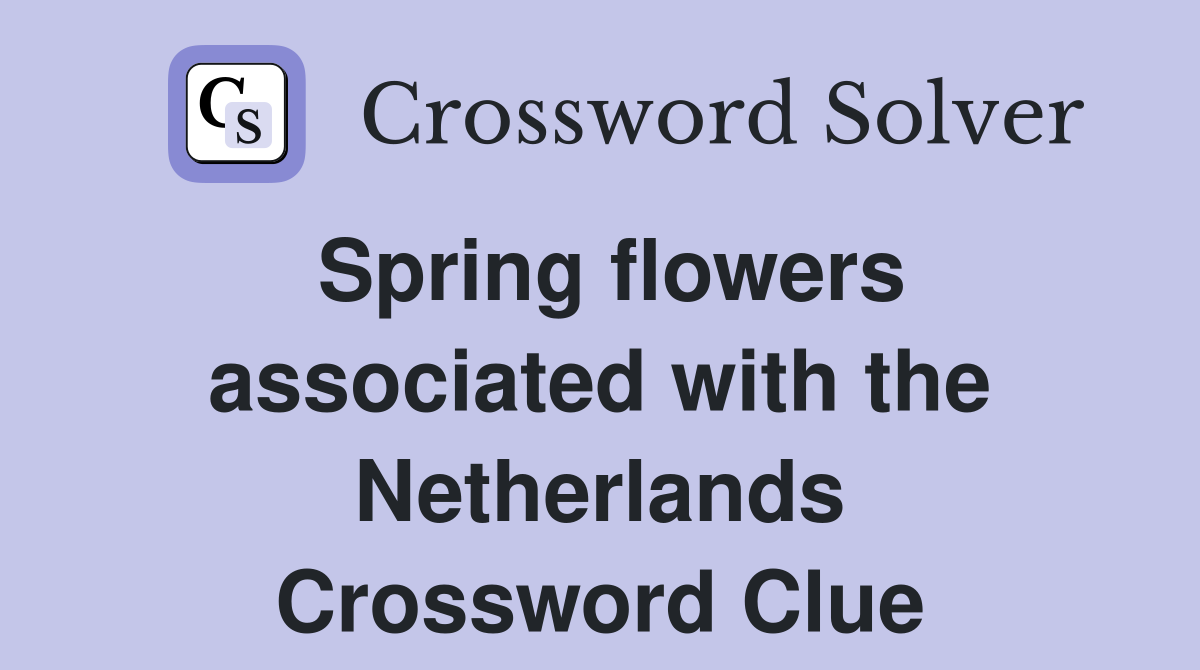 Spring flowers associated with the Netherlands Crossword Clue