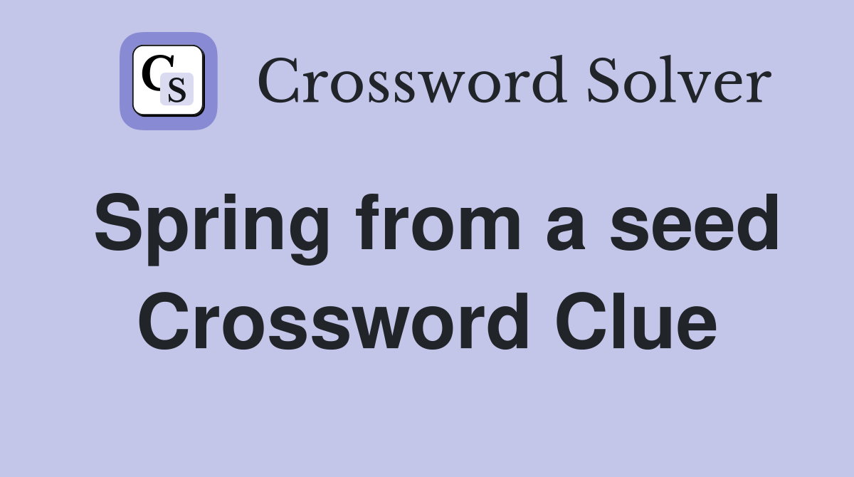 Spring from a seed Crossword Clue