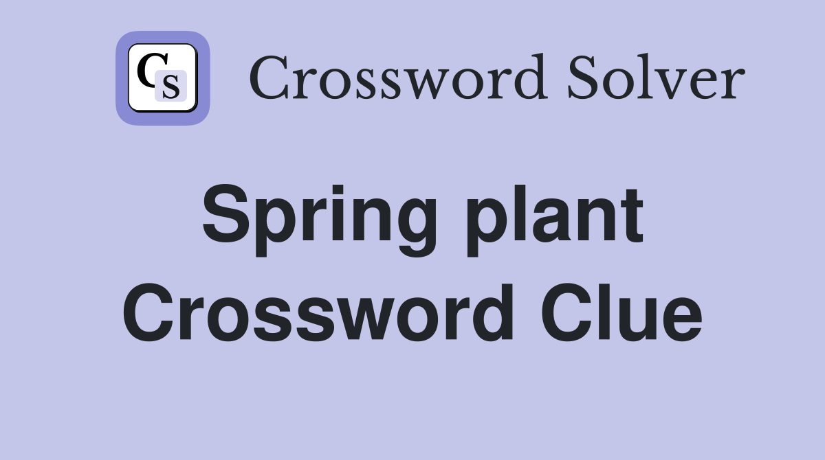 Spring plant Crossword Clue