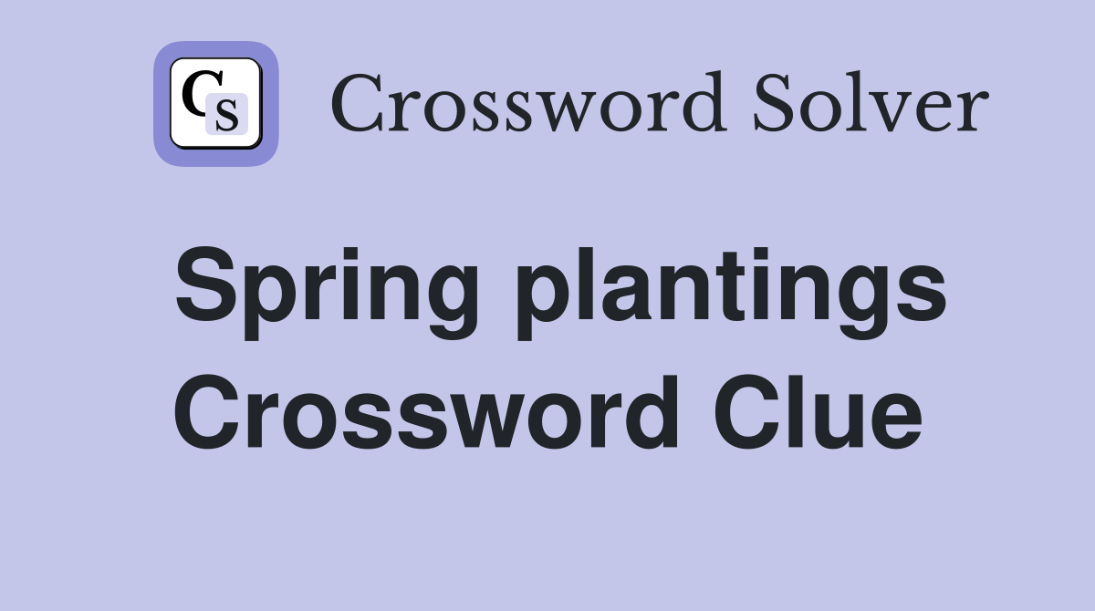 Spring plantings Crossword Clue