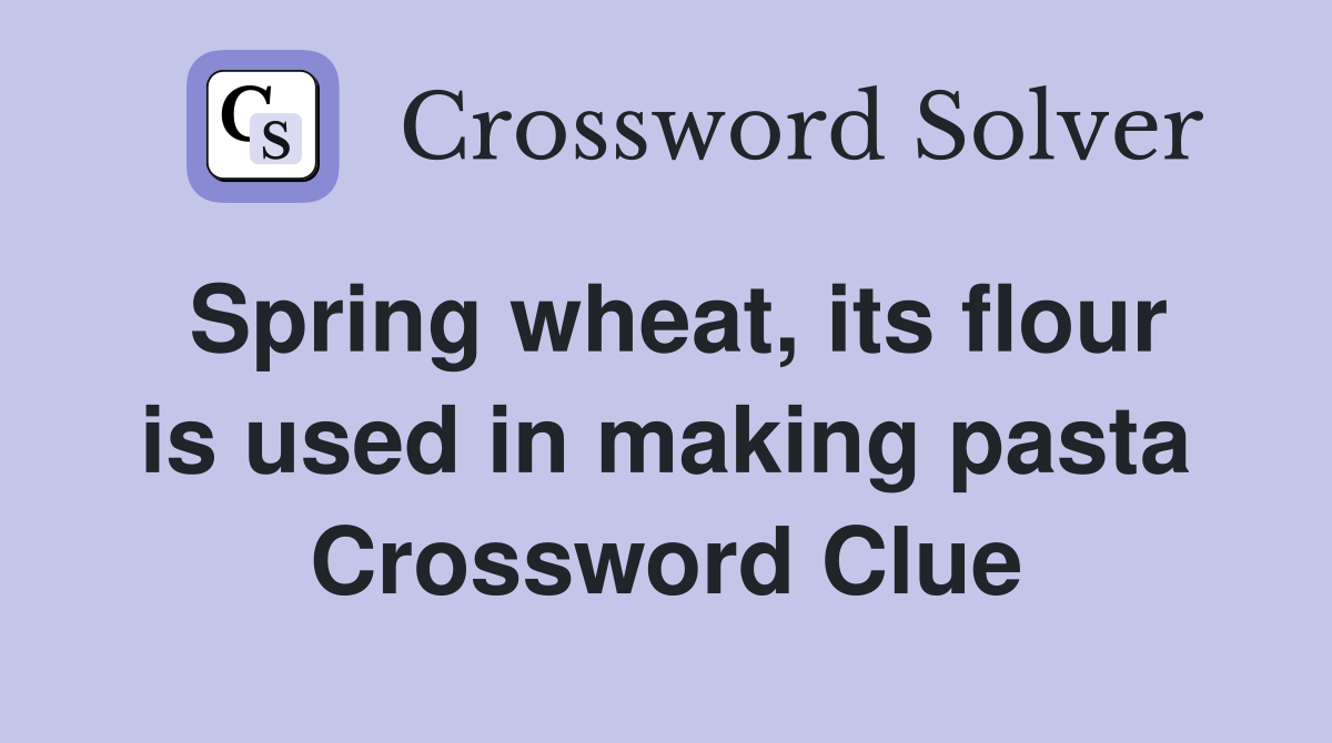 Spring wheat, its flour is used in making pasta Crossword Clue