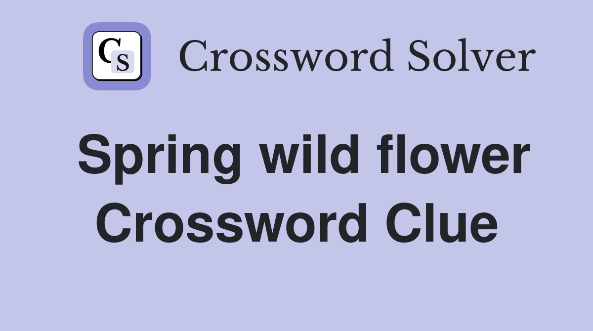 Spring wild flower Crossword Clue