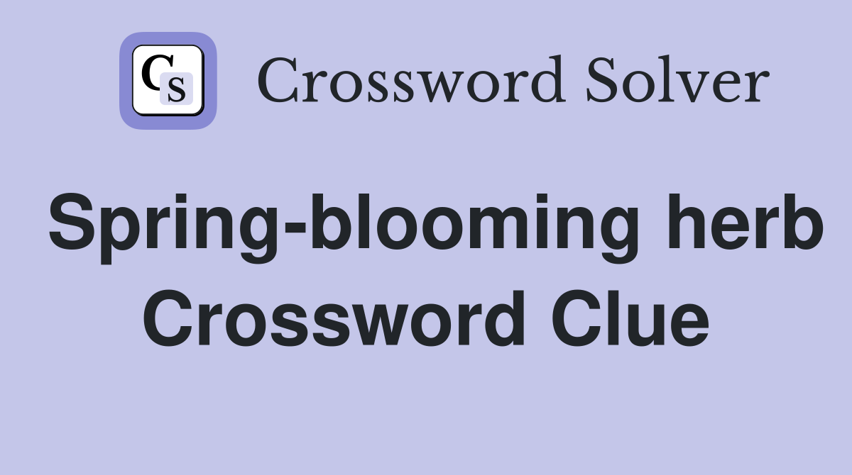 Spring-blooming herb Crossword Clue