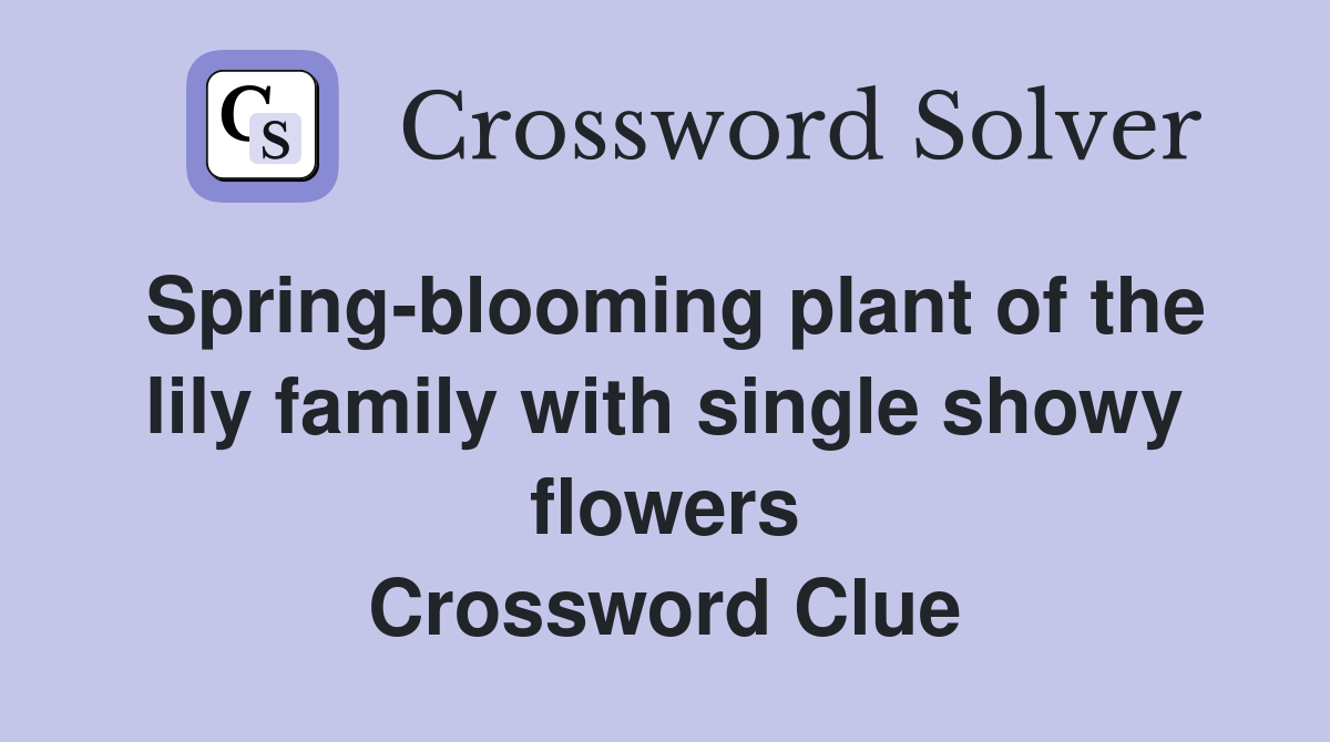 Spring-blooming plant of the lily family with single showy flowers Crossword Clue