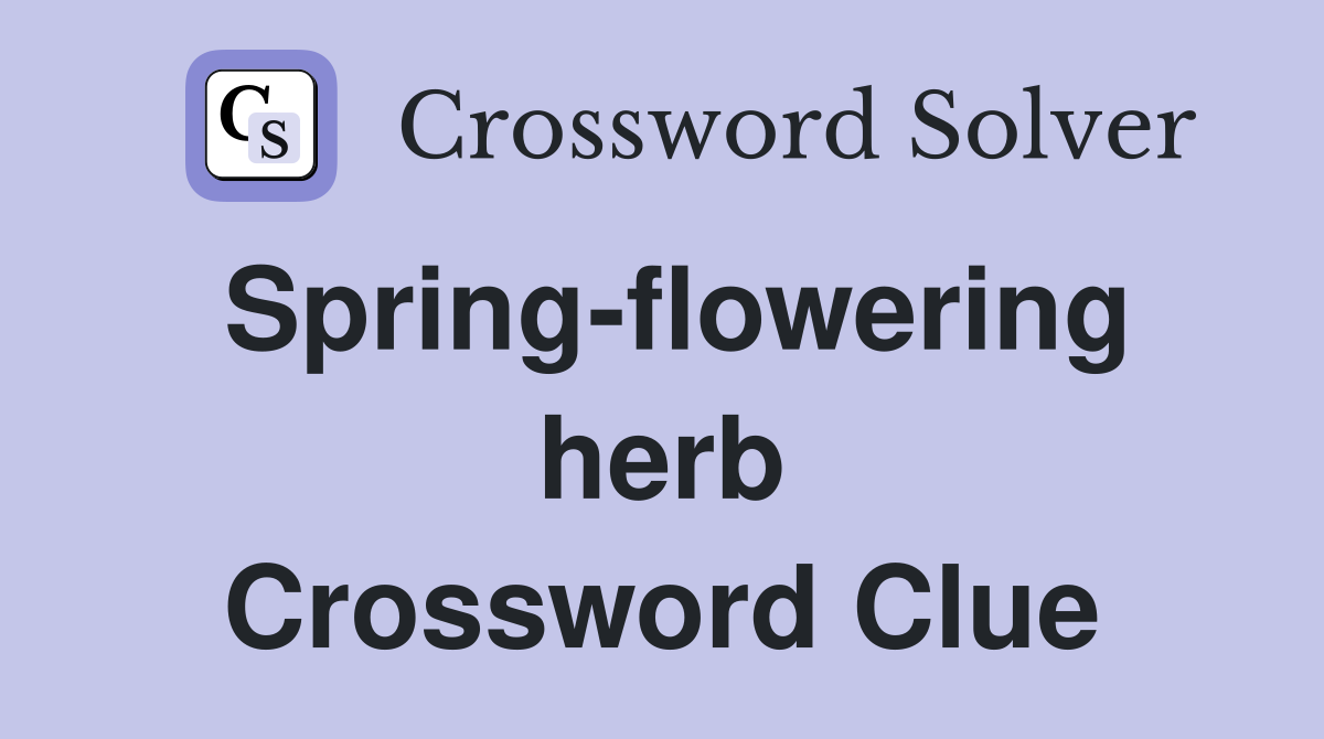 Spring-flowering herb Crossword Clue