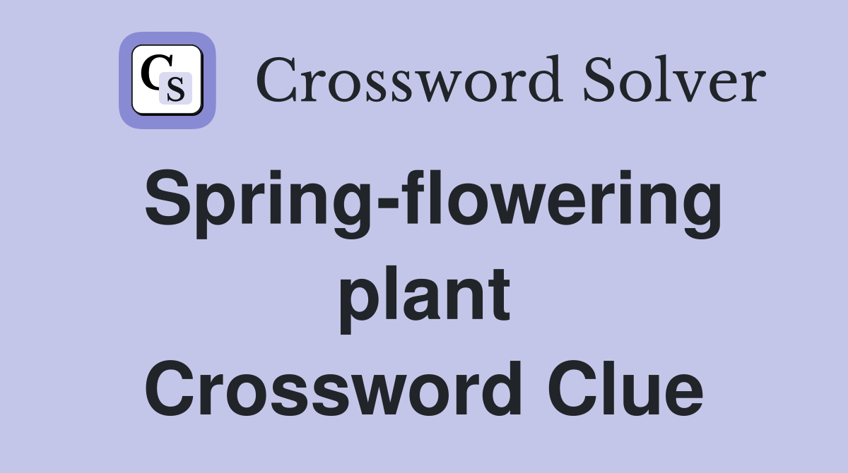 Spring-flowering plant Crossword Clue