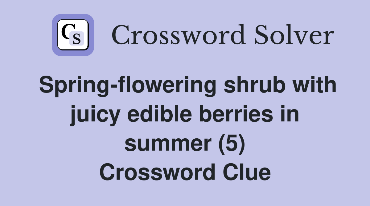 Spring-flowering shrub with juicy edible berries in summer (5) Crossword Clue