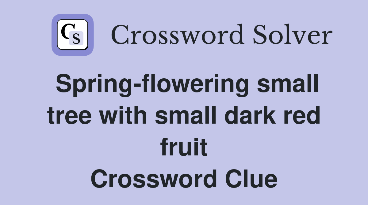 Spring-flowering small tree with small dark red fruit Crossword Clue