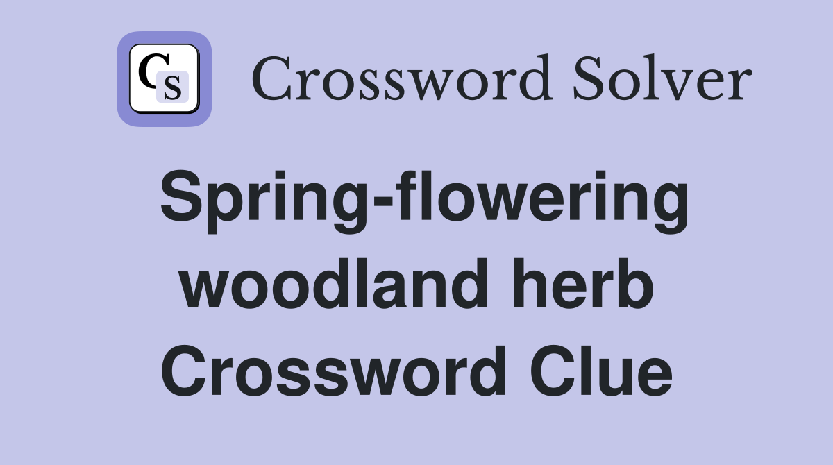 Spring-flowering woodland herb Crossword Clue