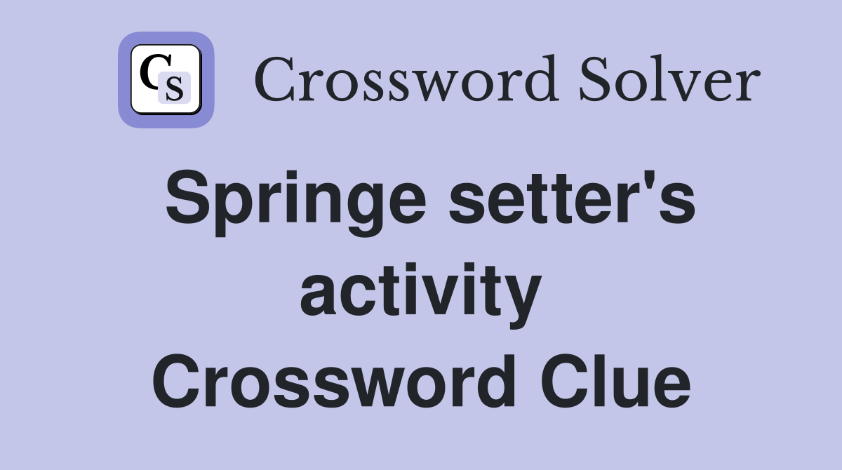 Springe setter's activity Crossword Clue
