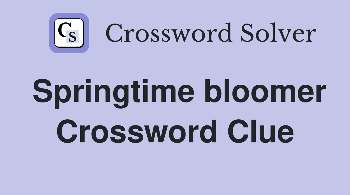 Springtime bloomer Crossword Clue