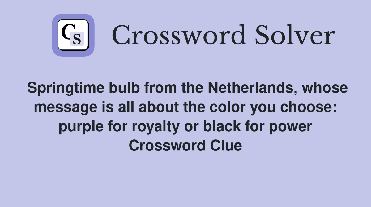Springtime bulb from the Netherlands, whose message is all about the color you choose: purple for royalty or black for power Crossword Clue