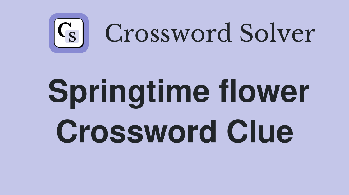 Springtime flower Crossword Clue