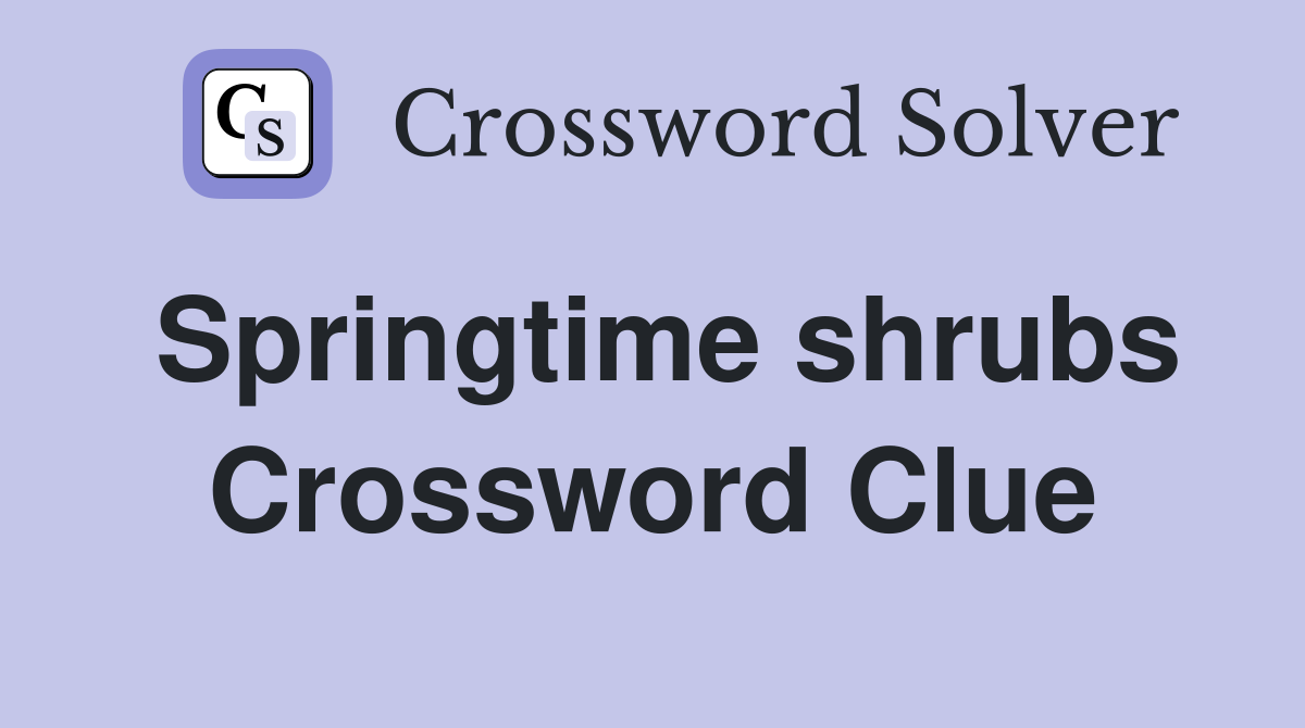 Springtime shrubs Crossword Clue