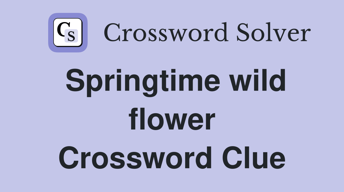 Springtime wild flower Crossword Clue
