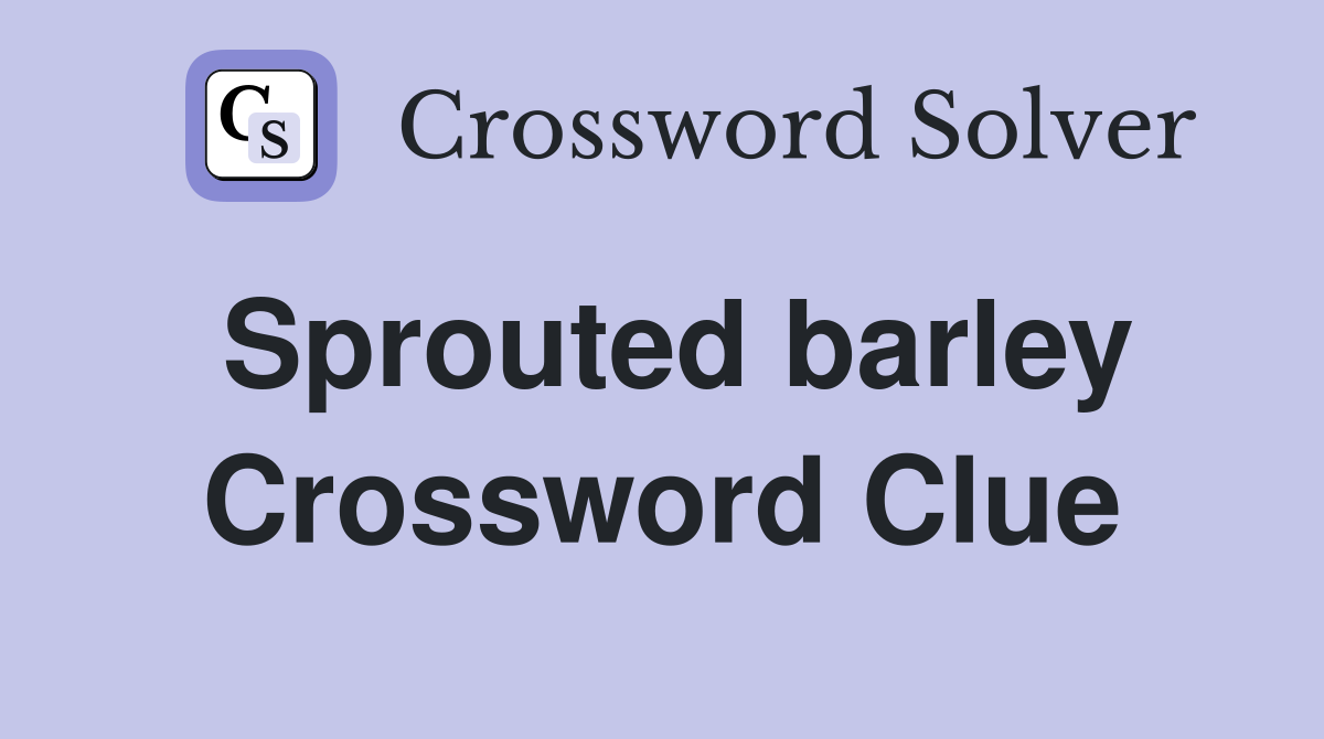 Sprouted barley Crossword Clue