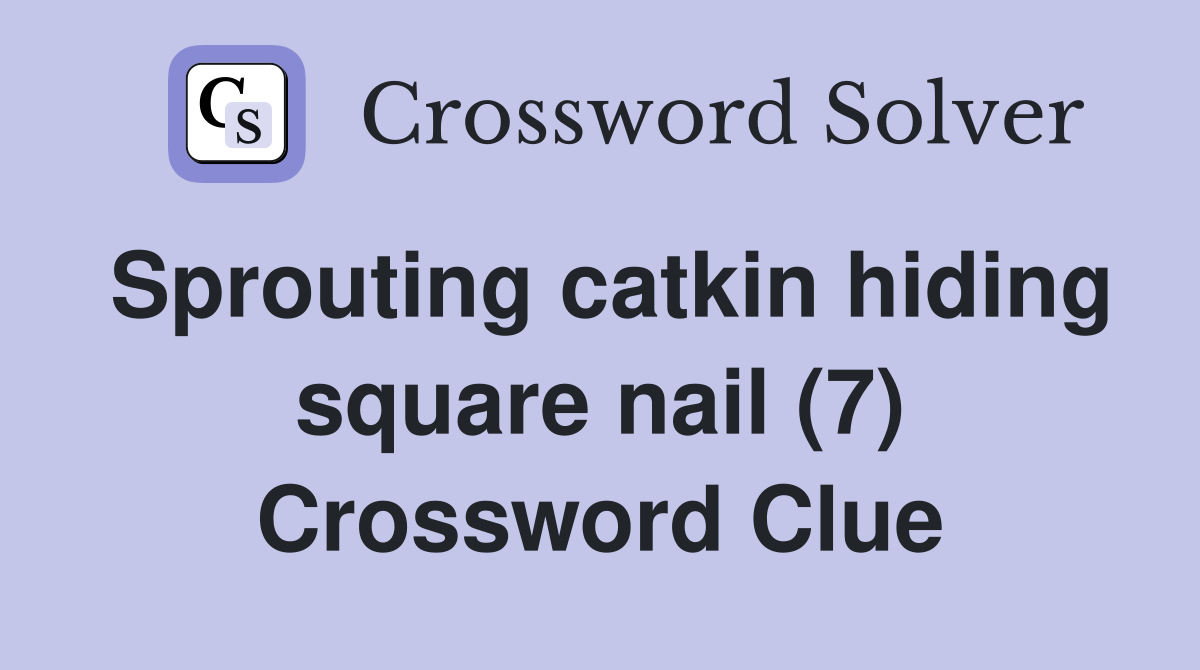 Sprouting catkin hiding square nail (7) Crossword Clue