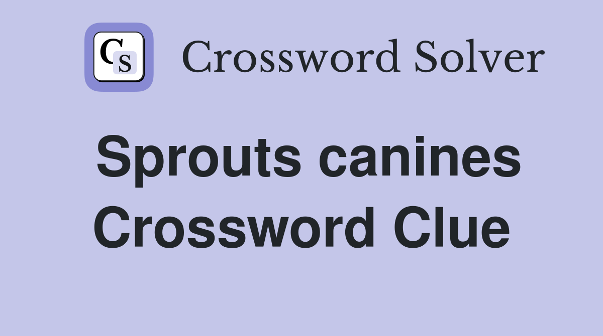 Sprouts canines Crossword Clue