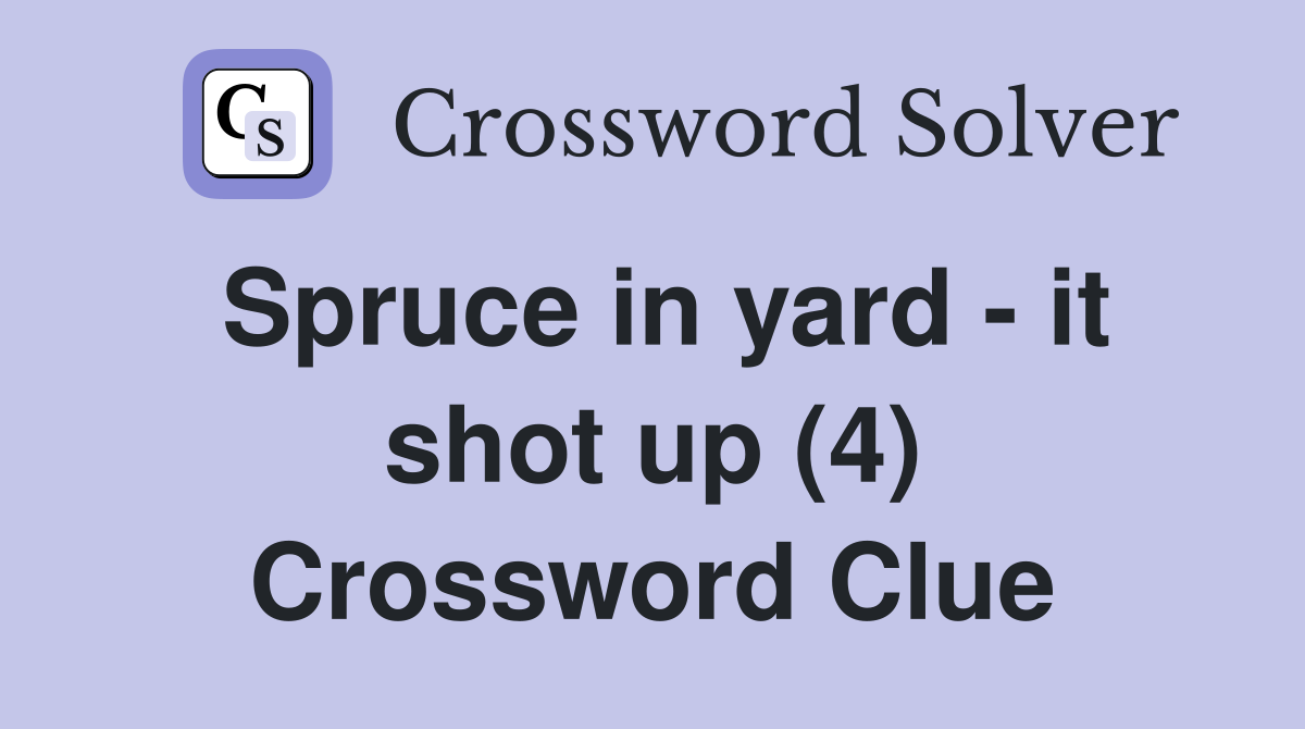 Spruce in yard - it shot up (4) Crossword Clue