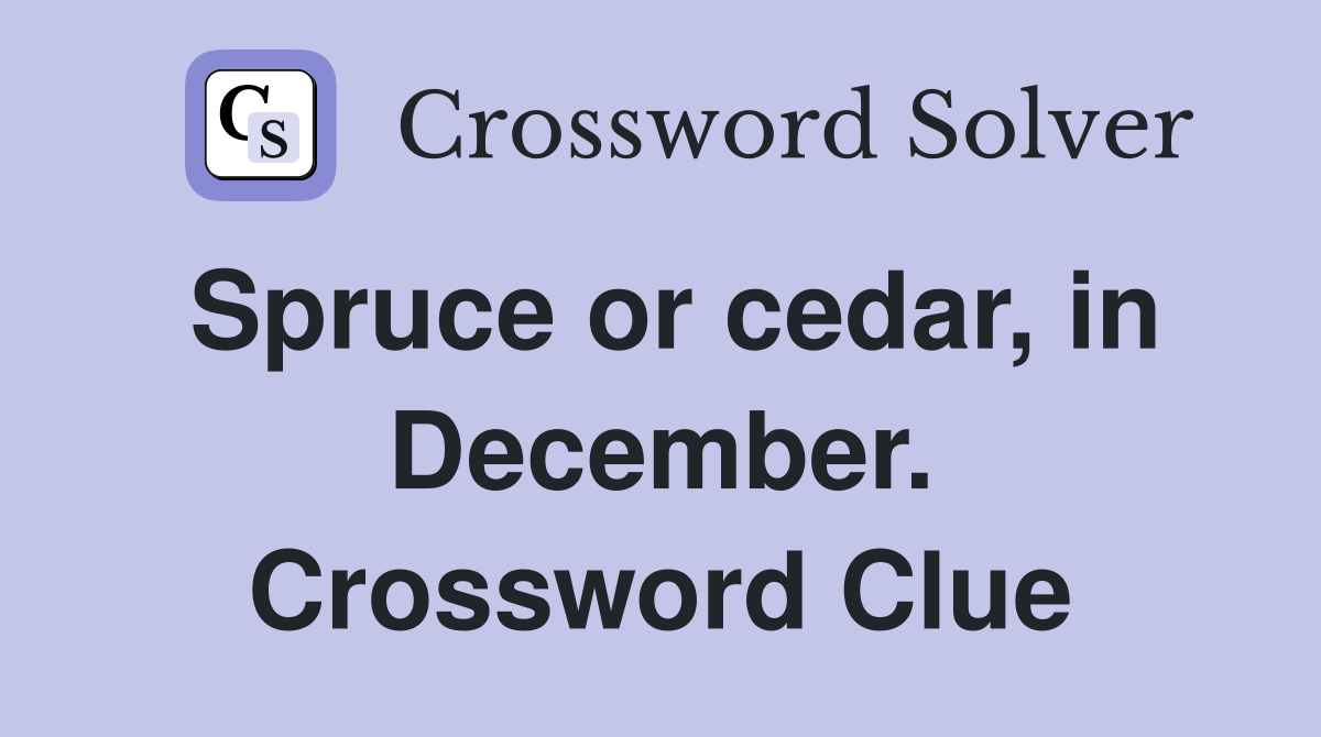 Spruce or cedar, in December. Crossword Clue