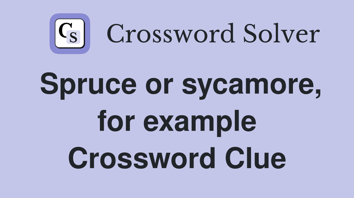 Spruce or sycamore, for example Crossword Clue
