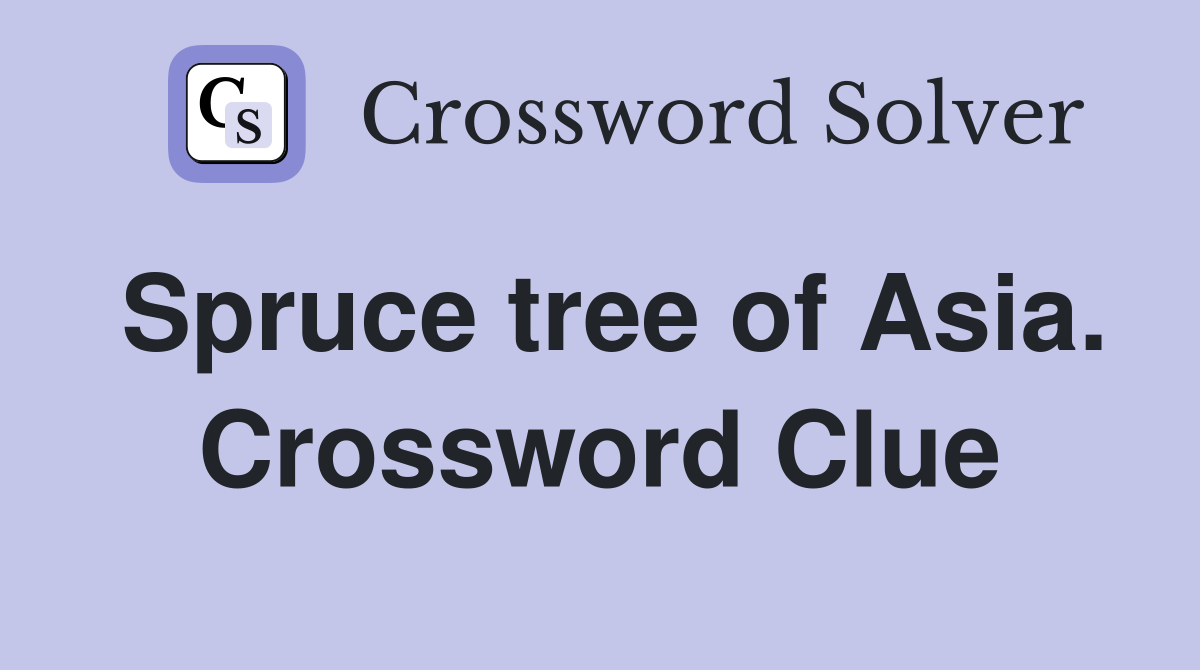 Spruce tree of Asia. Crossword Clue