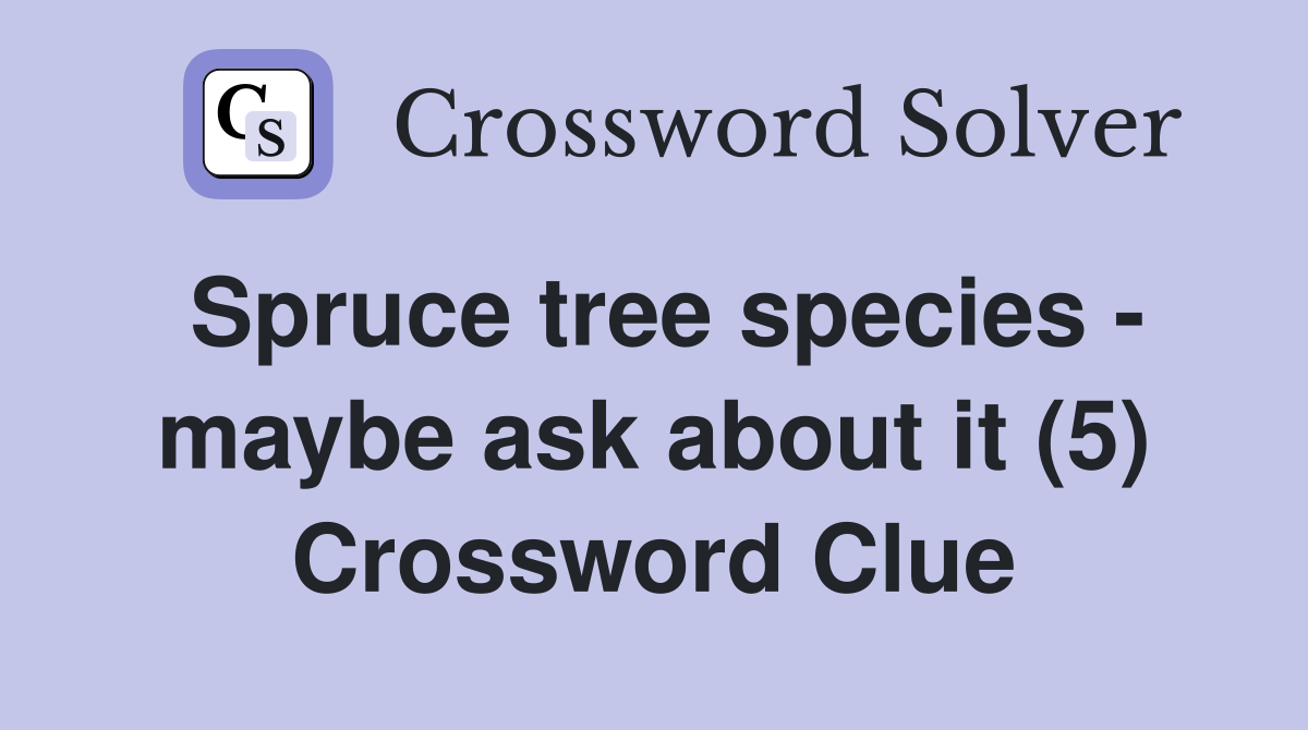 Spruce tree species - maybe ask about it (5) Crossword Clue