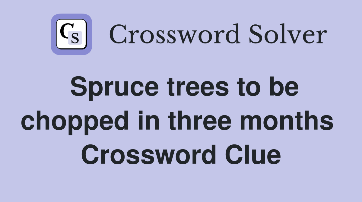 Spruce trees to be chopped in three months  Crossword Clue