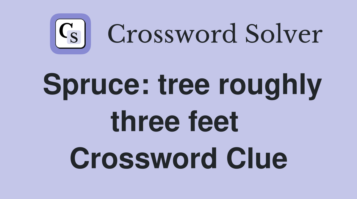 Spruce: tree roughly three feet  Crossword Clue