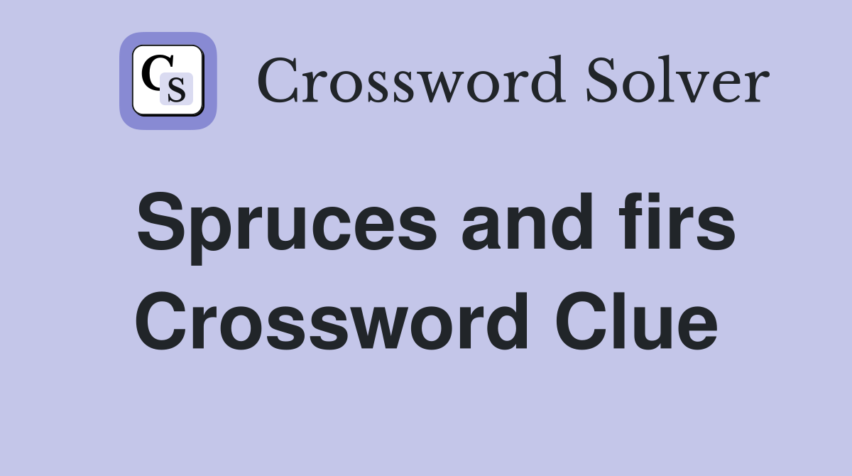 Spruces and firs Crossword Clue