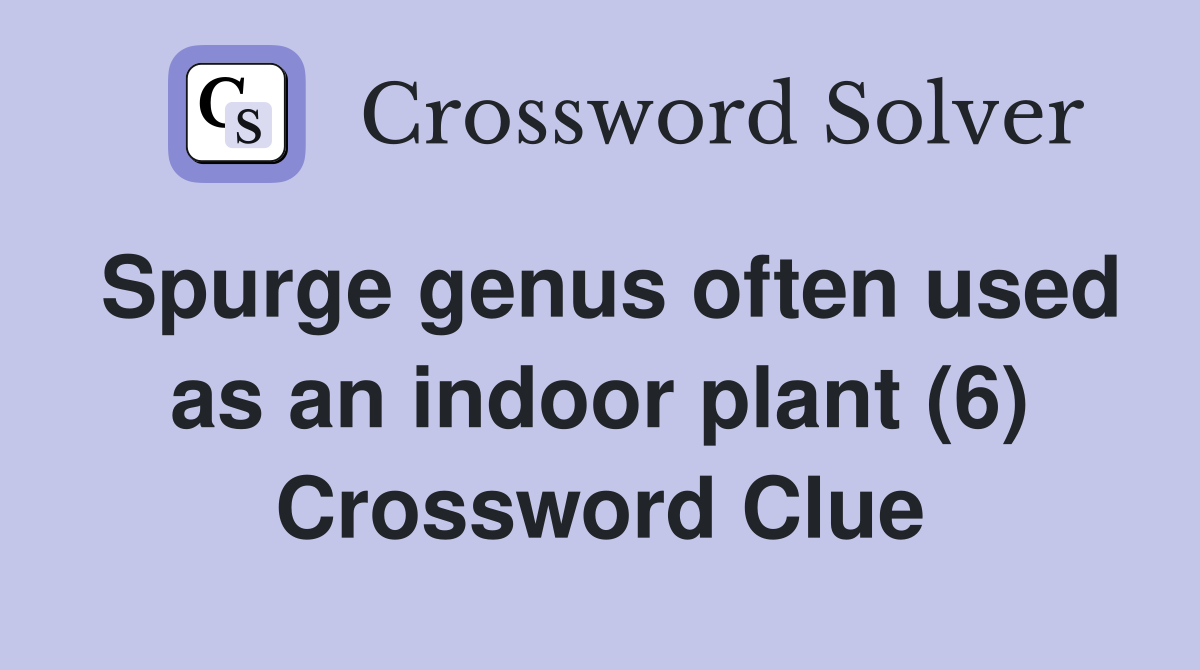 Spurge genus often used as an indoor plant (6) Crossword Clue