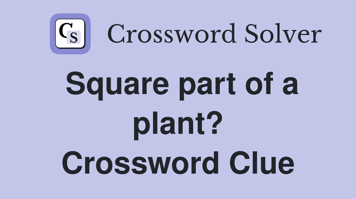 Square part of a plant? Crossword Clue