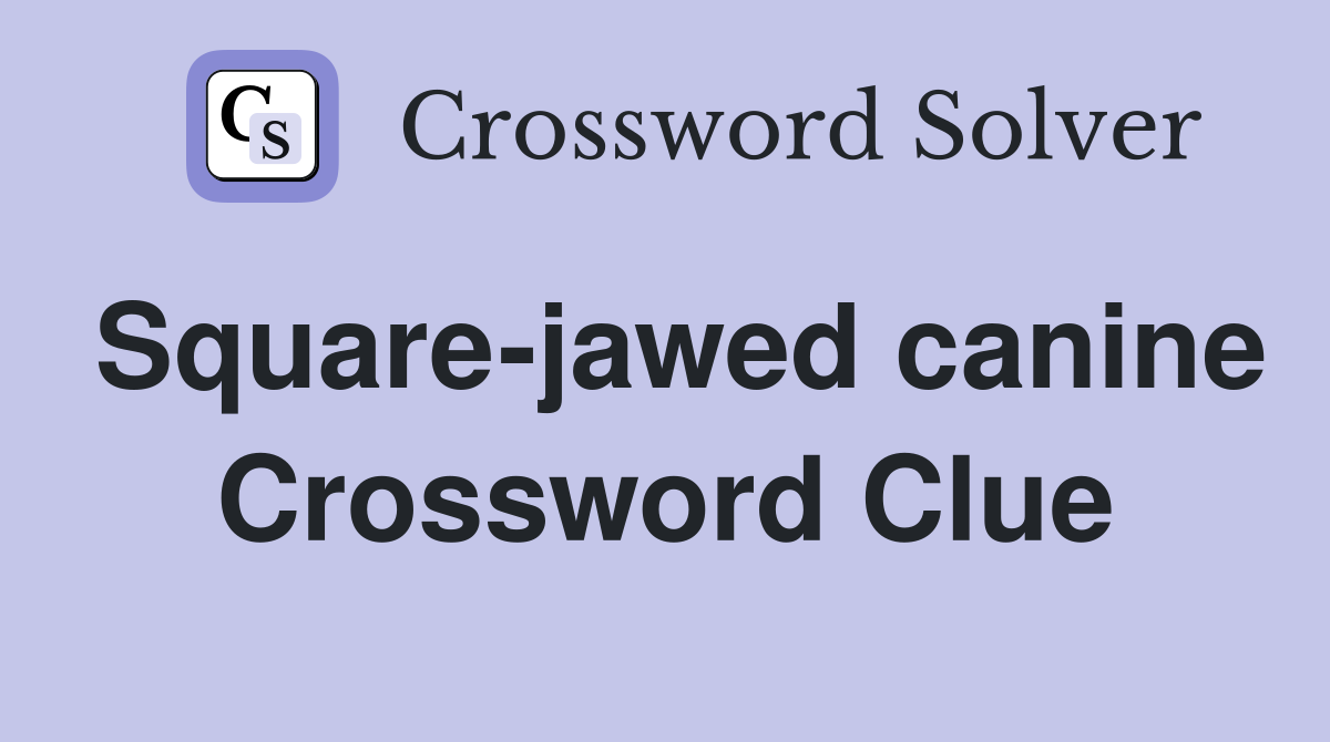 Square-jawed canine Crossword Clue