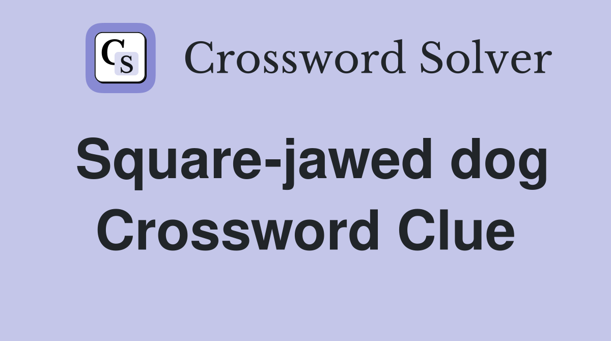 Square-jawed dog Crossword Clue