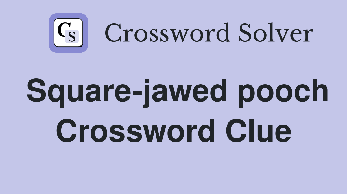 Square-jawed pooch Crossword Clue
