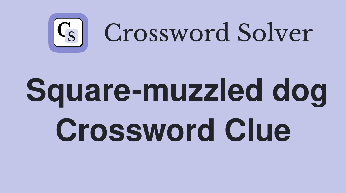 Square-muzzled dog Crossword Clue