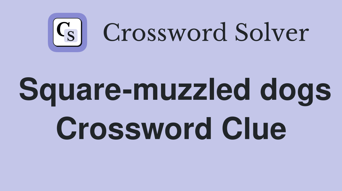Square-muzzled dogs Crossword Clue