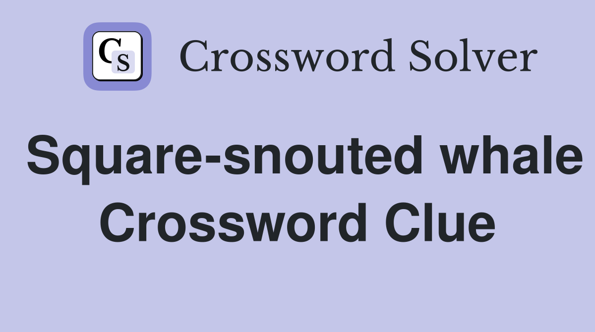 Square-snouted whale Crossword Clue